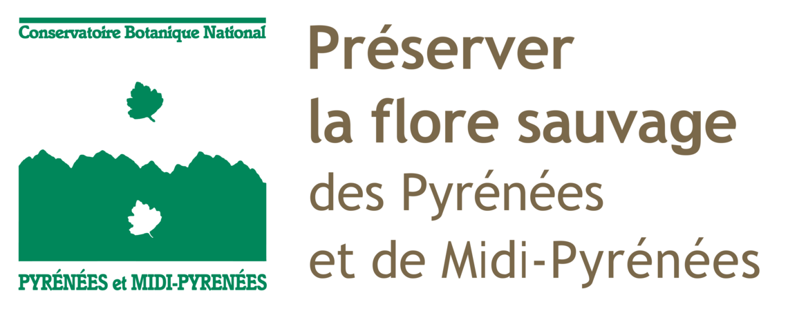 Xl logo cbn pmp bloc marque d fond transparence