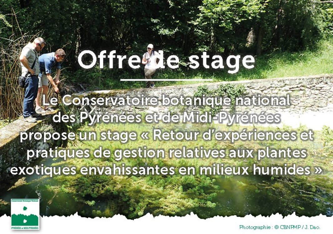 Xl offre stage pee cbnpmp 2021