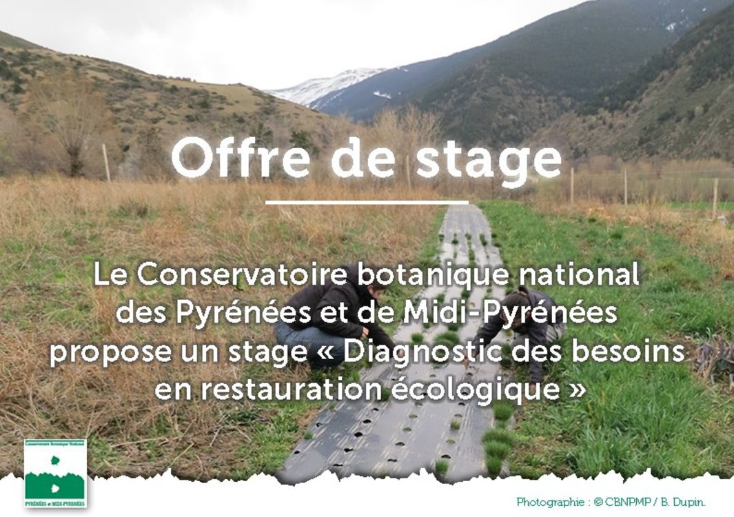 Xl offre stage restauration eco cbnpmp 2021