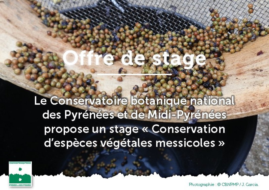 Xl offre stage messiflore cbnpmp 2021