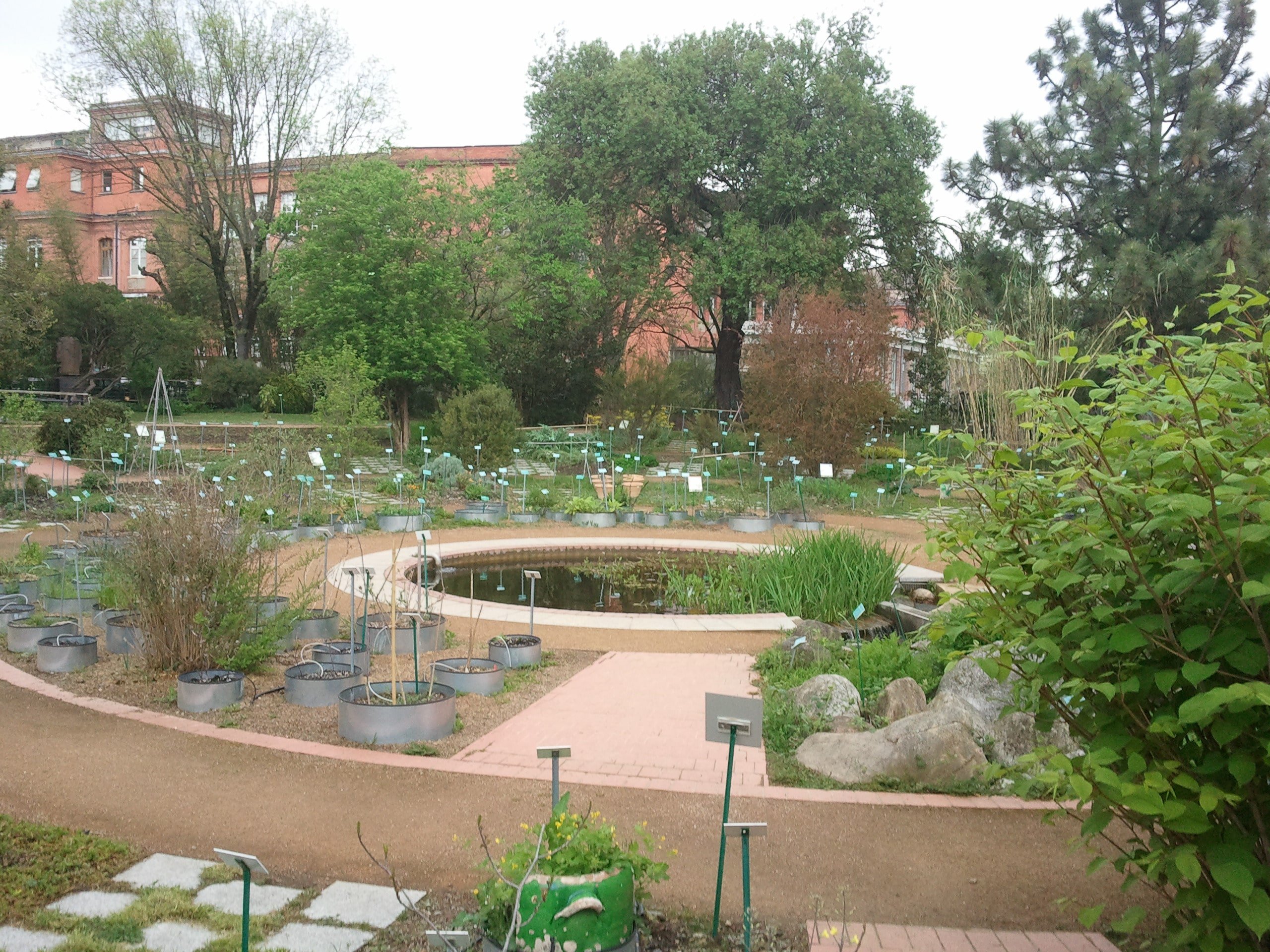 Aperçu de la "spirale" ethnobotanique et du bassin © SCECCP