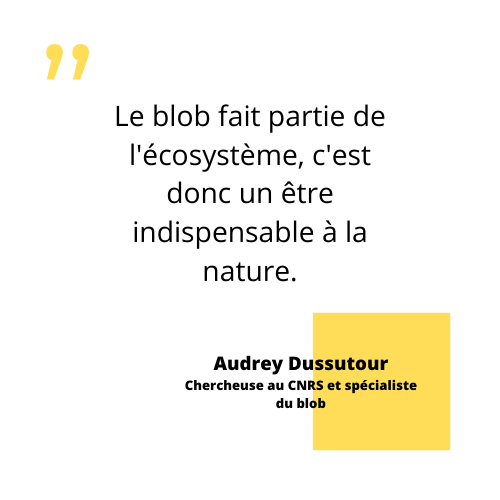 Citation Audrey Dussutour