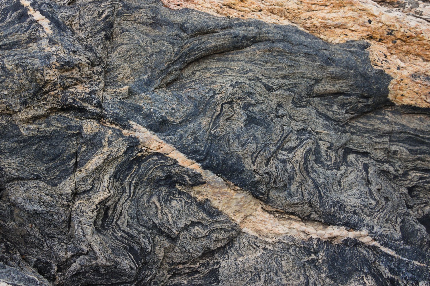 Migmatites du cap de Creus