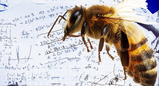 Lg 210210 l intelligence des abeilles tarbes
