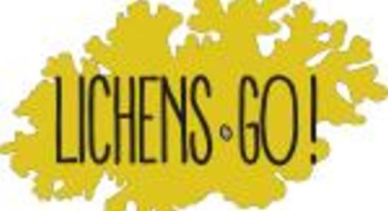 Lg logo lichensgo jaune rvb max150x150