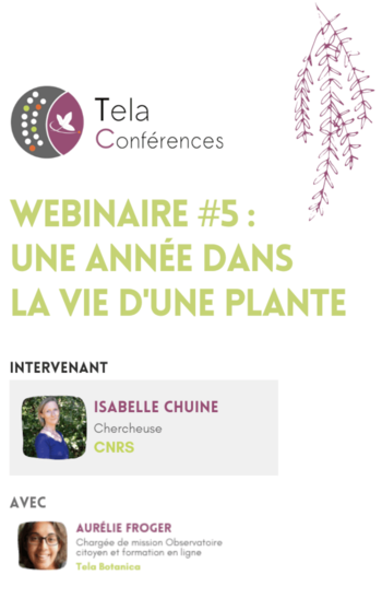 Xl tela conferences 5 isabelle chuine une annee dans la vie d une plante portrait