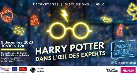 Huginn & Muninn ・ Harry Potter Maquettes magiques