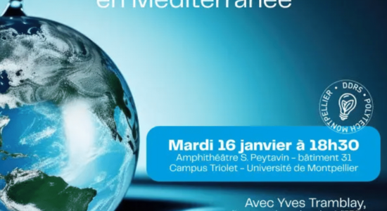 Sécheresse : et si le sorgho était l'avenir du monde agricole ?